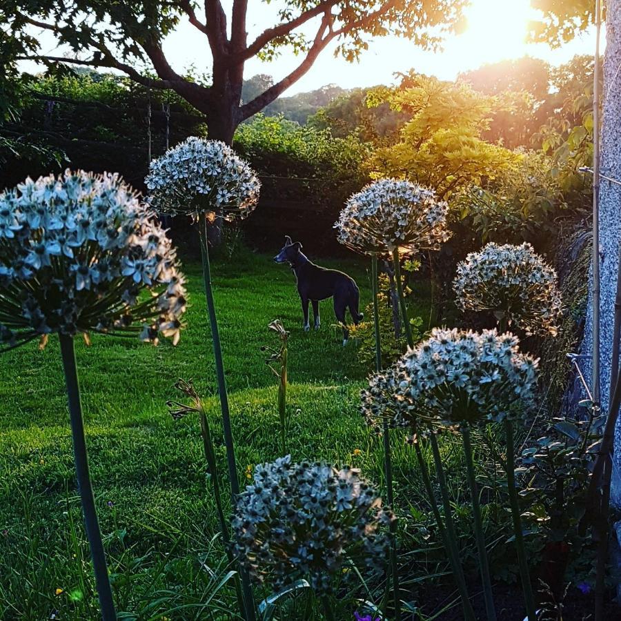Meadow Barn Villa แอ็กซ์มินสเตอร์ ภายนอก รูปภาพ